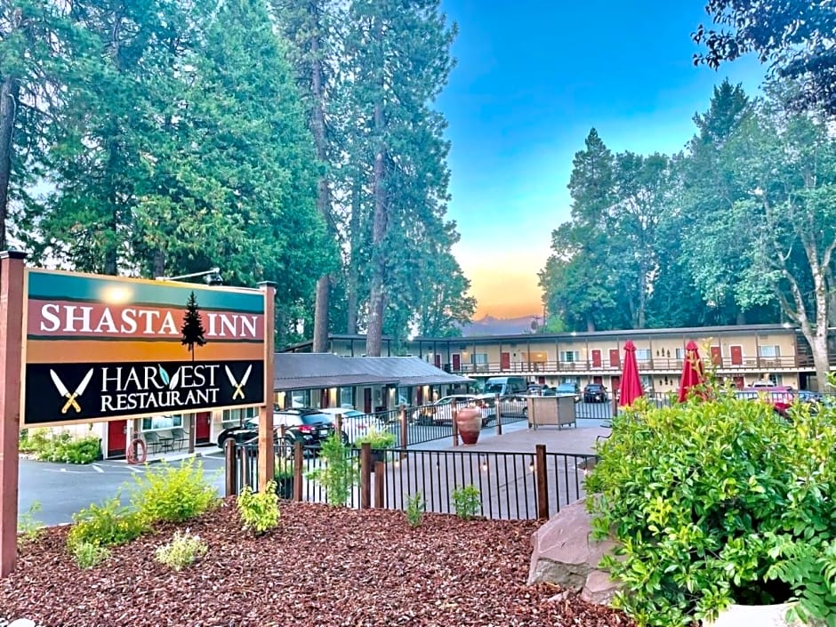 Shasta Inn