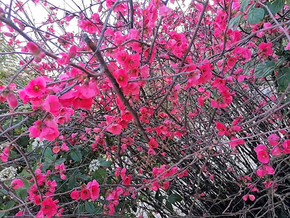 L'Isola Felice e Trulli Sotto Le Stelle