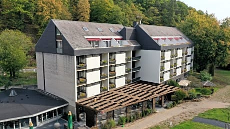 Hotel Luisenpark