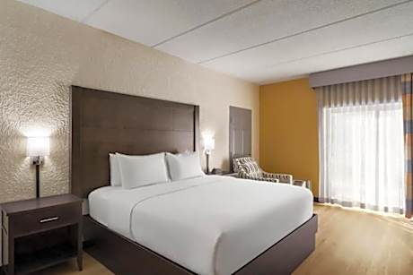 1 King Bed Mobility Accessible Room Non-Smoking