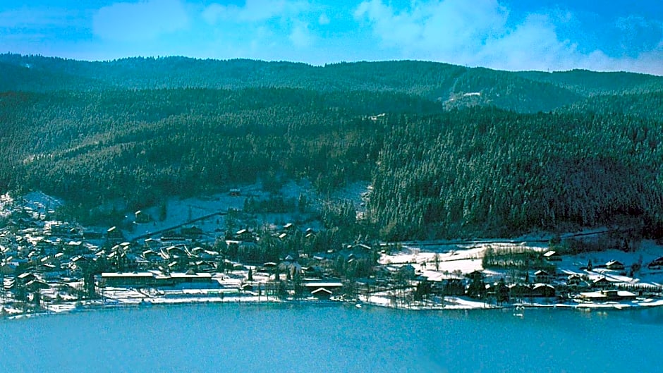 Laptitevosgienne VUE LAC à Gérardmer !