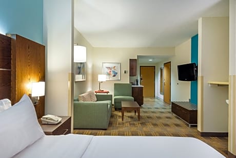 1 King Bed Suite