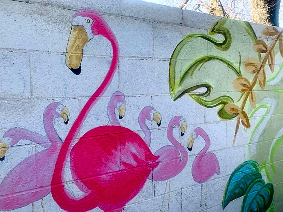 Dragonfly Motor Lodge