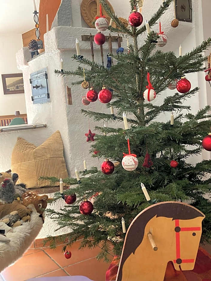 Apartments Kolbitsch mit Seeblick