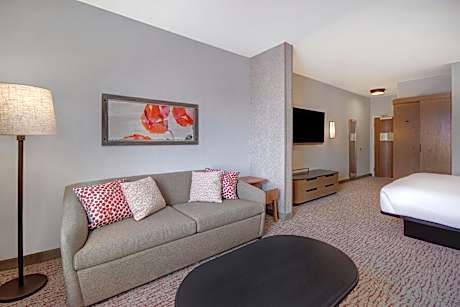 Executive King Suite with Sofa Bed