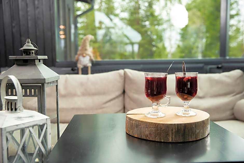 Santa's Igloos Arctic Circle