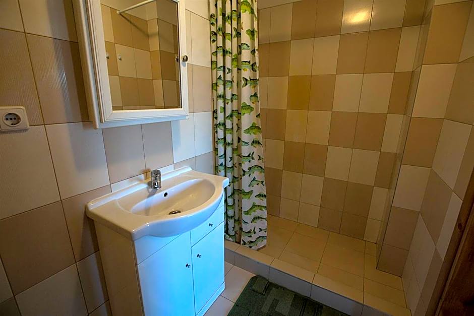 Svečiuose pas Aldoną