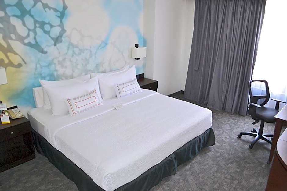 Courtyard by Marriott San Luis Potosi