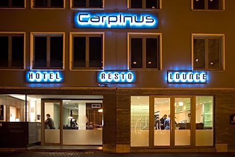Hotel Carpinus