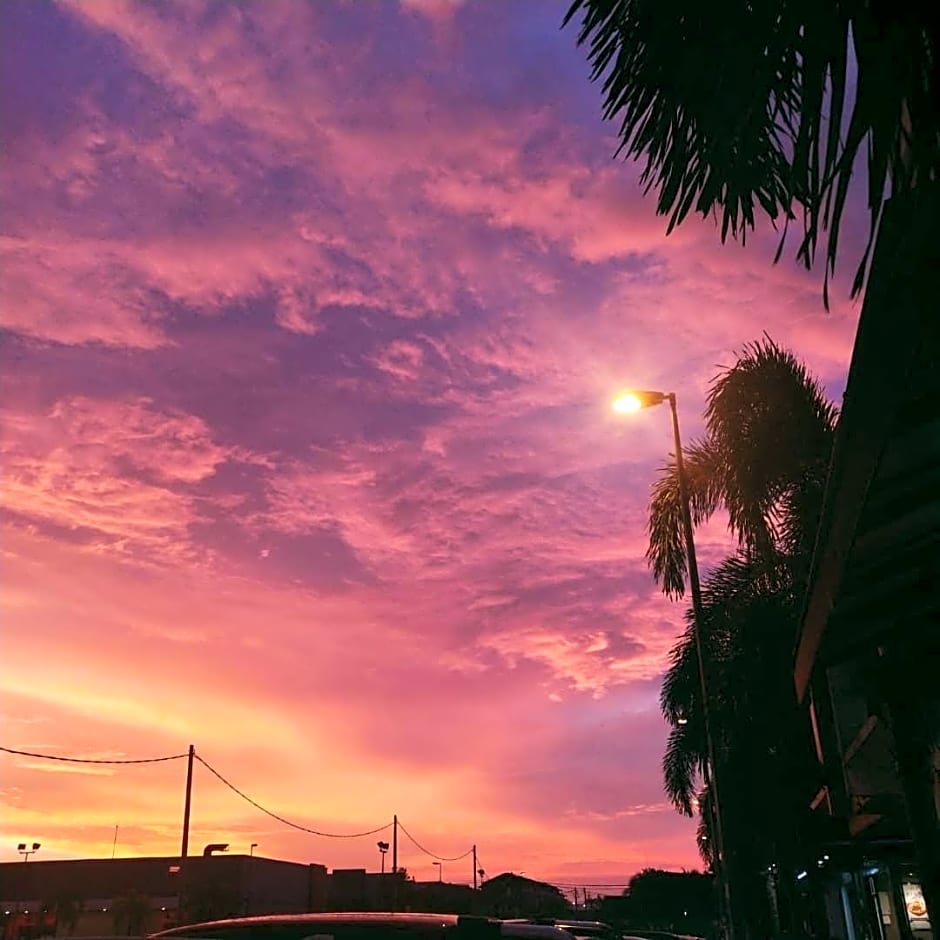 Sea Lion Firefly Concept Hotel