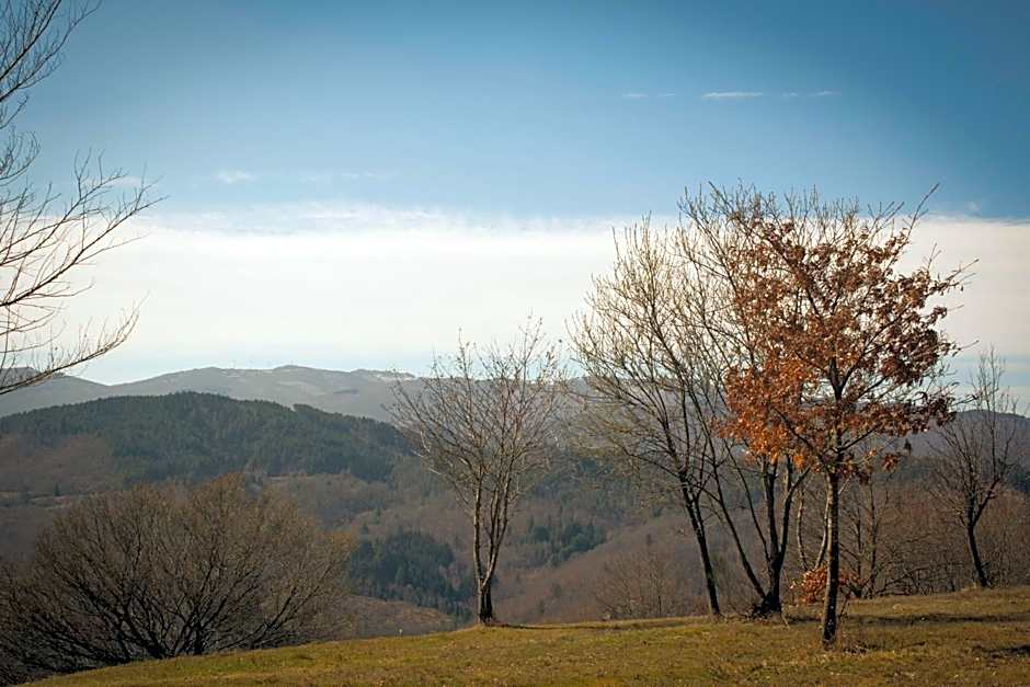 B&B Vista Casentino