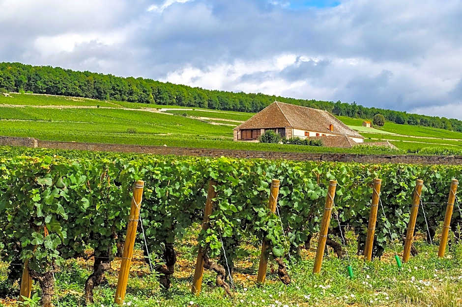 Voco Beaune – Cité Des Vins