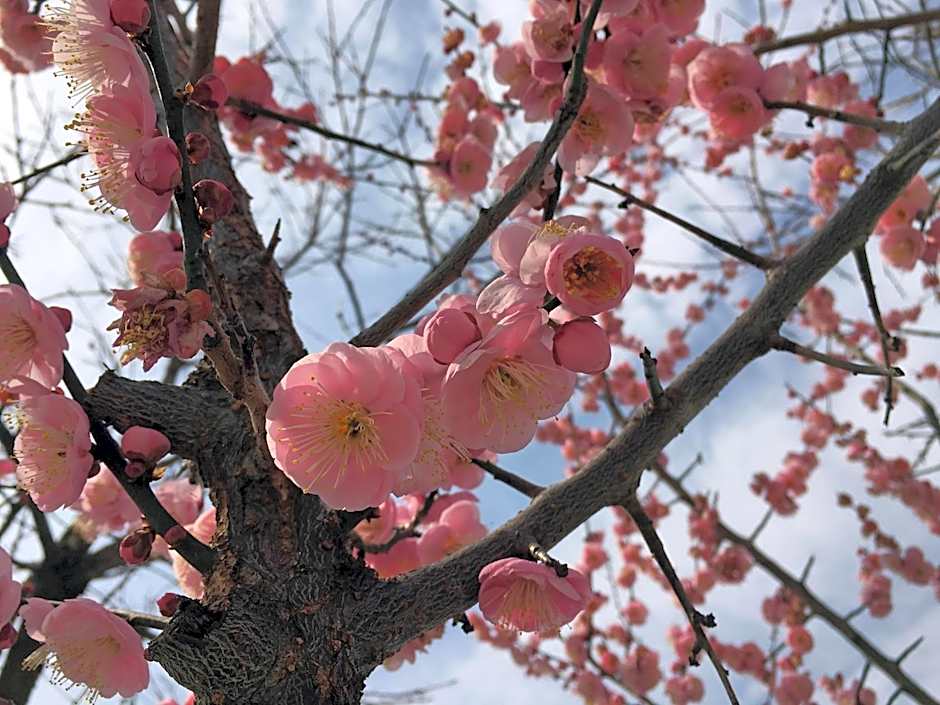 Cambria Hotel College Park