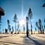 Skyfire Village Igloos