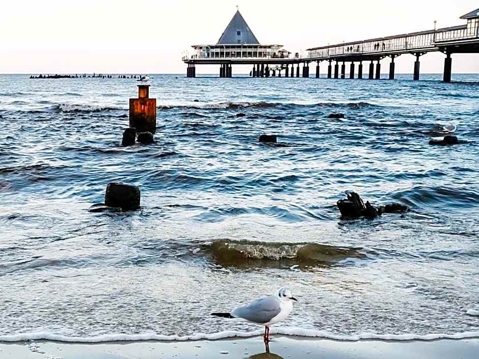 Meeressterne Hotel Residenz in Heringsdorf