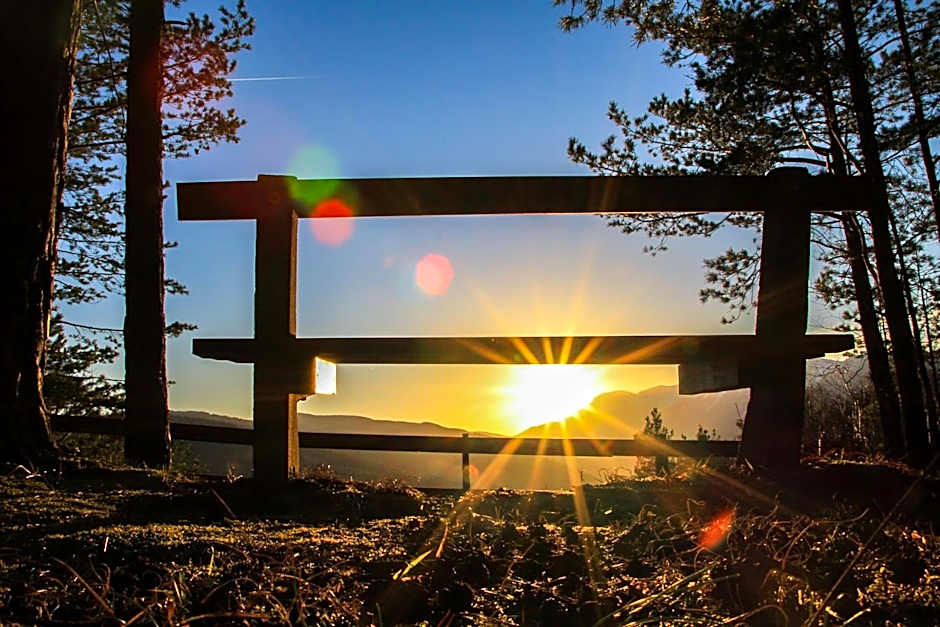 Hotel Payerbacherhof