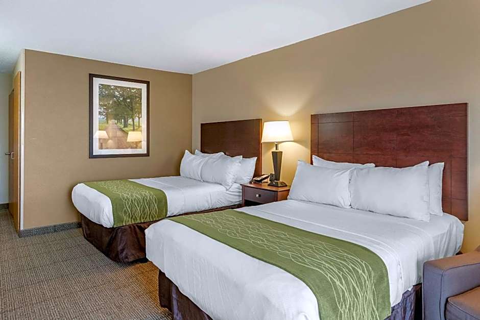 Comfort Inn Lansing West