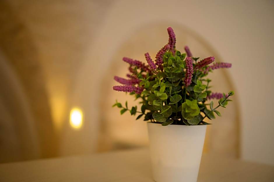 LUXURY ROOM CASSESE