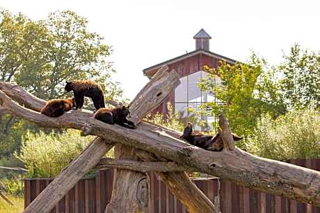 Parc Animalier de Sainte-Croix