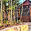 Eco Aldea kinich Ahau en Calakmul