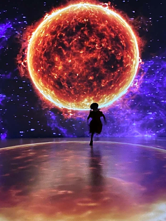 Hotel La Casa de los Árboles Immersive Experience