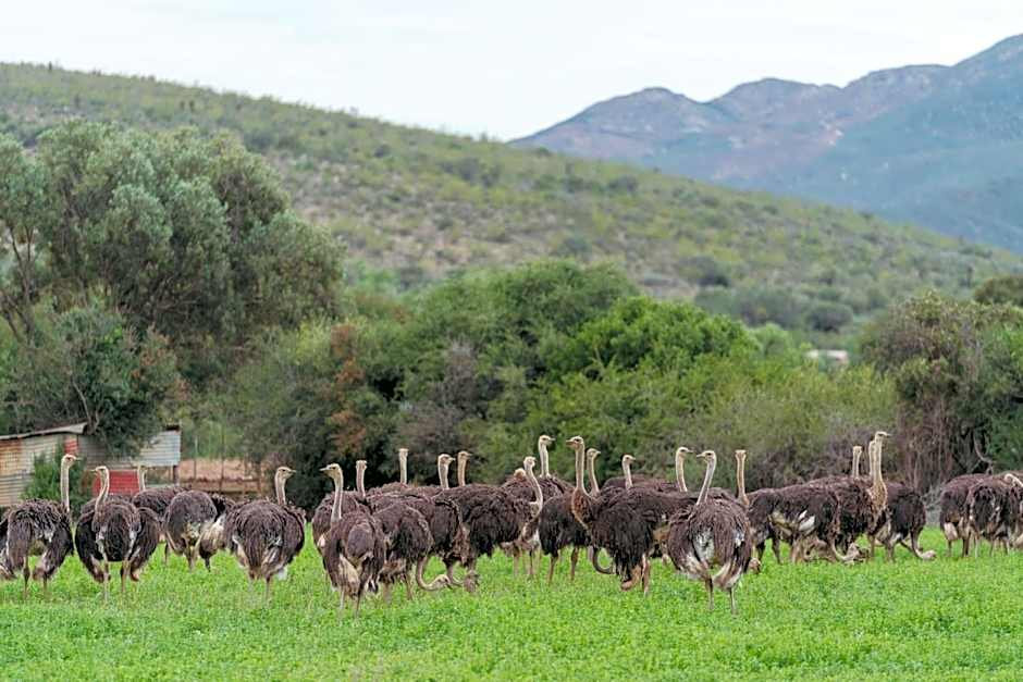 Swartberg Country Manor