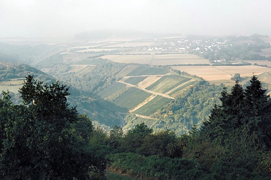 FETZ DAS LORELEY HOTEL