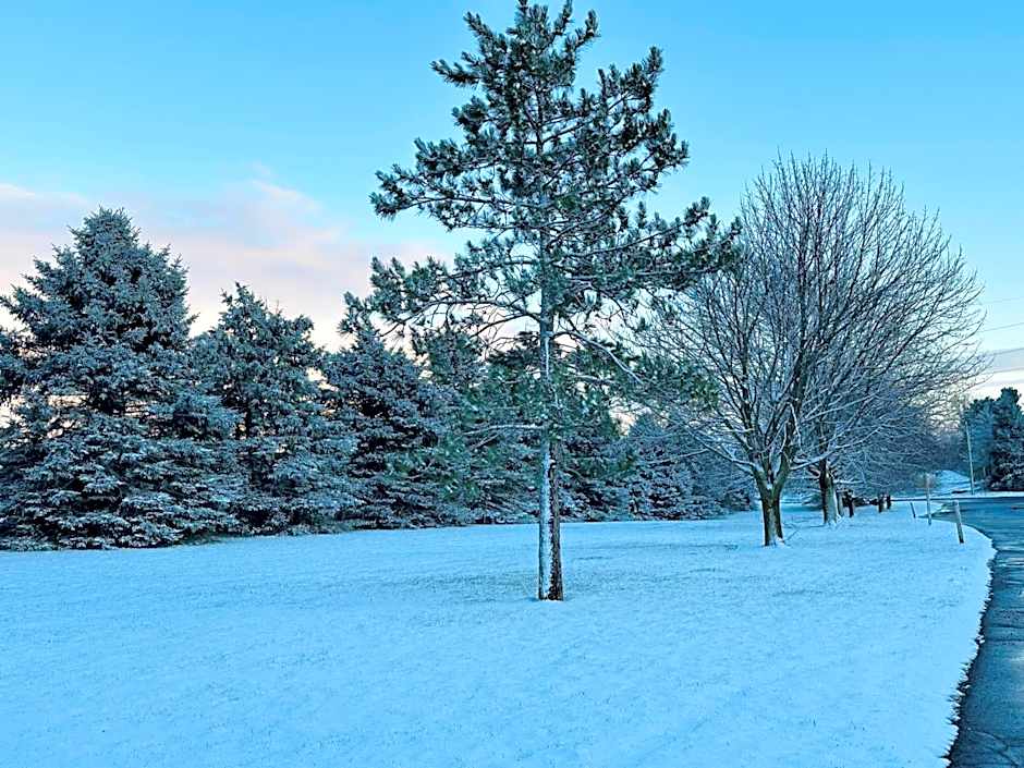 Super 8 by Wyndham Imlay City