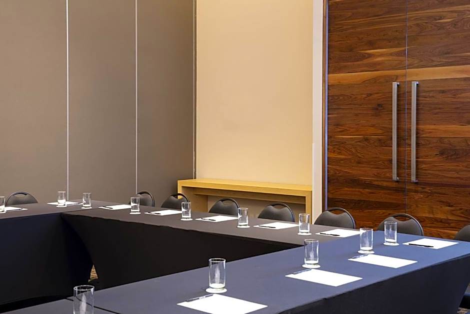 Fiesta Inn Aguascalientes Patio