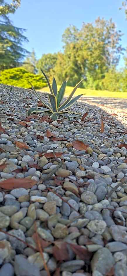 Villa Duno a un passo da Città Alta