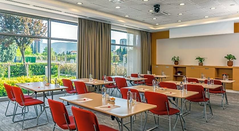 Ibis Bursa