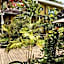 Thanakha Inle Hotel