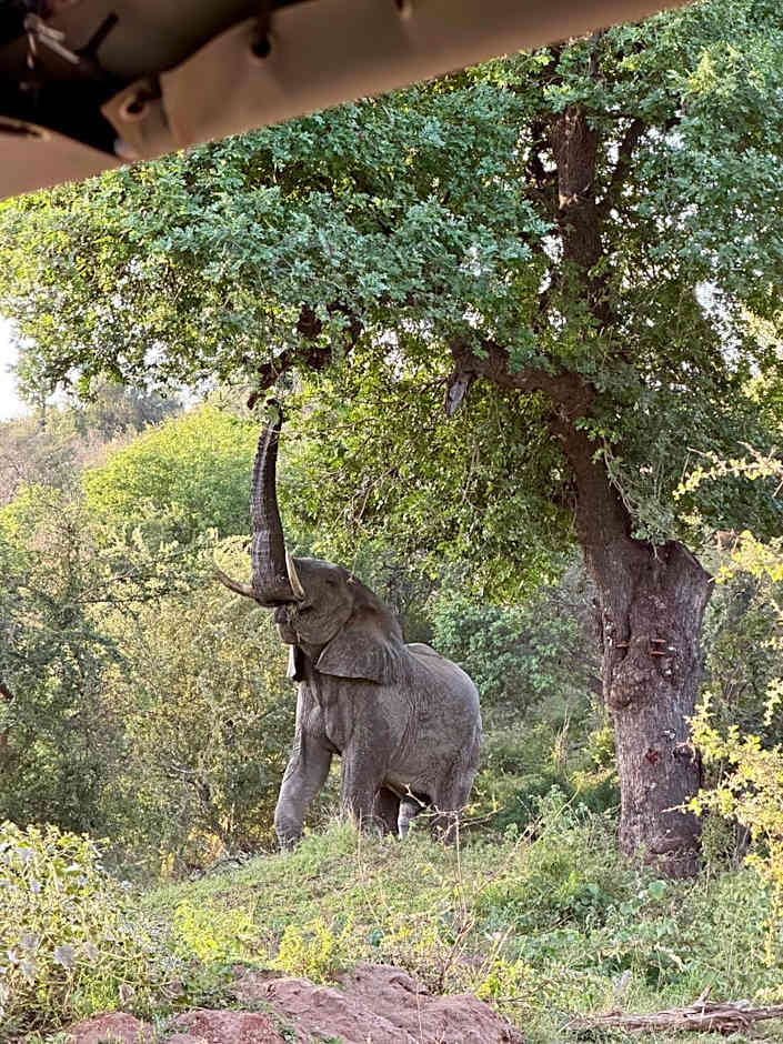 Tulani Boutique Lodge