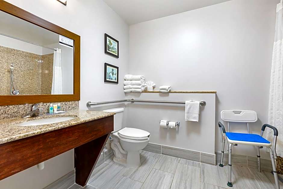 Comfort Suites Dfw N/Grapevine