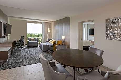 1 Bedroom 2 room Suite, 1 King, Sofa bed, City view