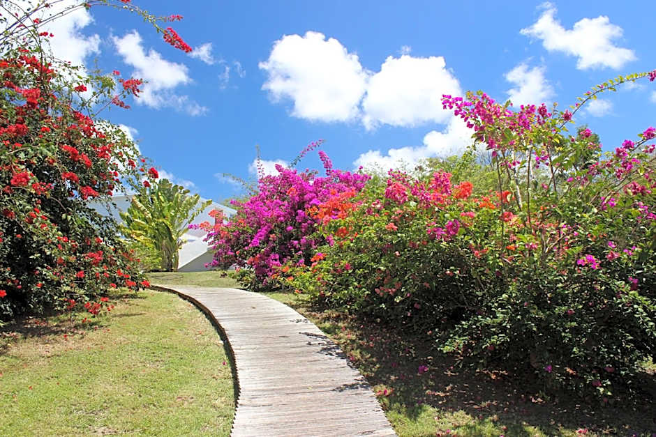 Residence Les Cayalines