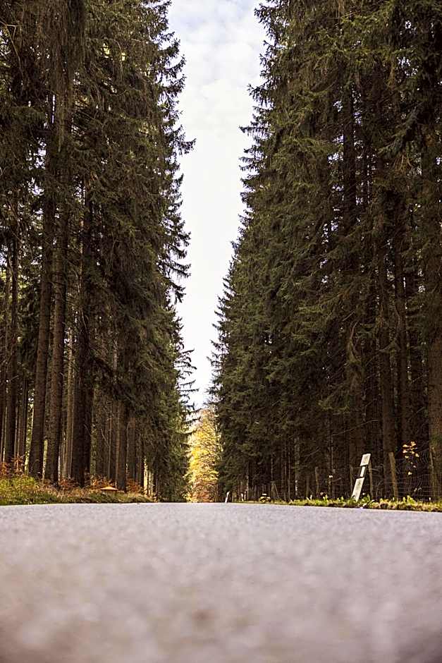 DAS ERZ Medical Spa & Hotel