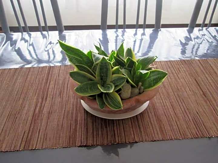 Touristlink Homestay