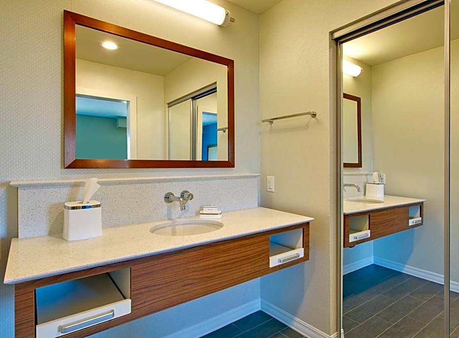 Hampton Inn By Hilton Snyder Tx