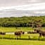 Hwange Safari Lodge