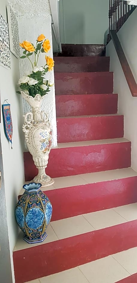 Branca Gonçalves Belmonte