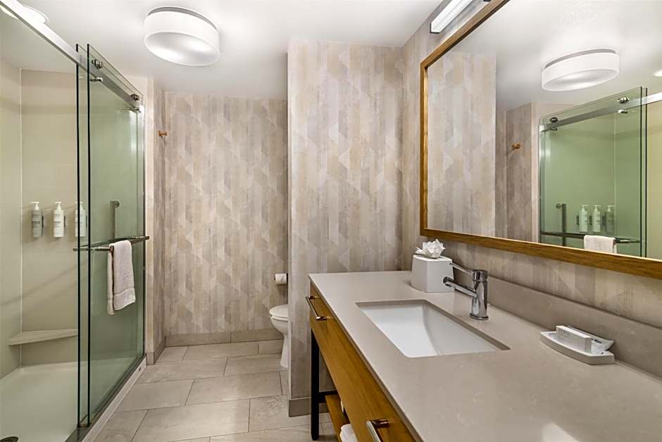 Hampton Inn by Hilton Schenectady Downtown