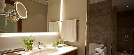 One-Bedroom Suite with Single Sofa Bed