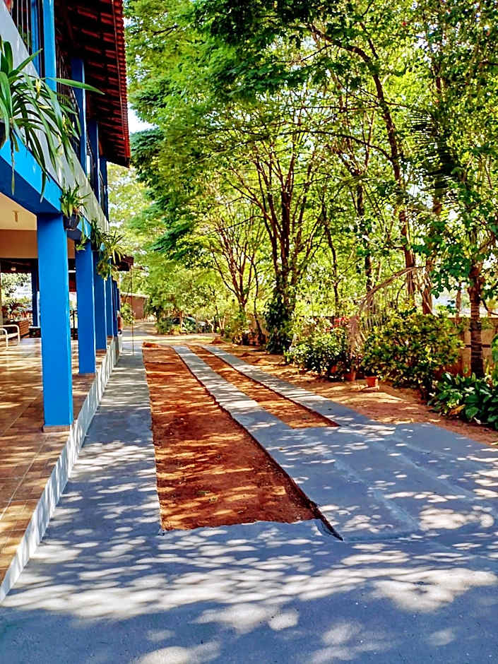 Suits - Canto do sabia