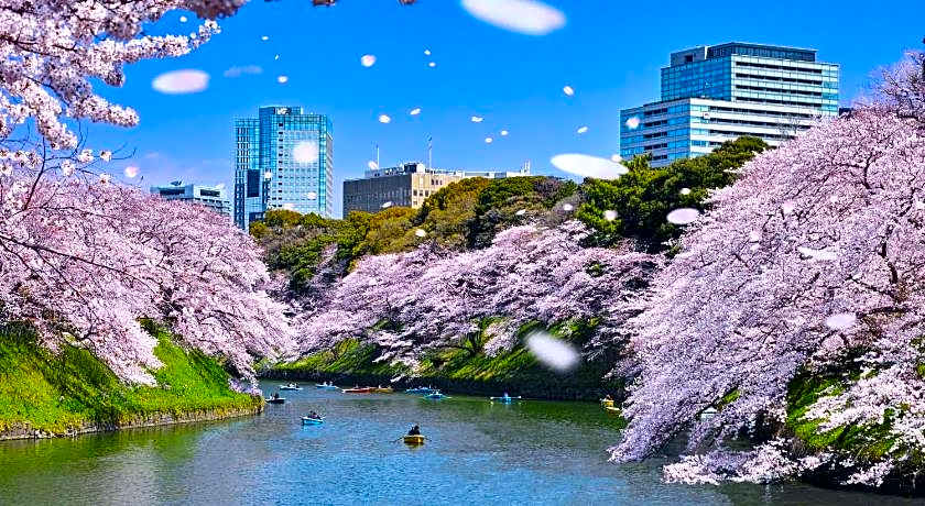 HOTEL OWL TOKYO Shinbashi