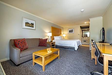 1 King Bed, Non-Smoking, High Speed Internet Access, Microwave And Refrigerator, Exterior Corridor, 