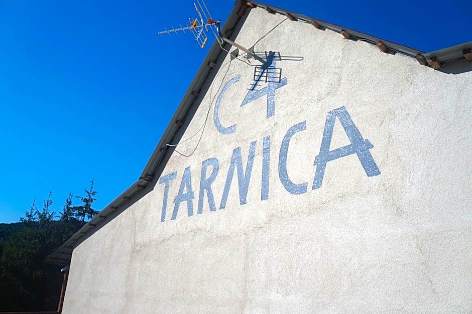 TARNICA