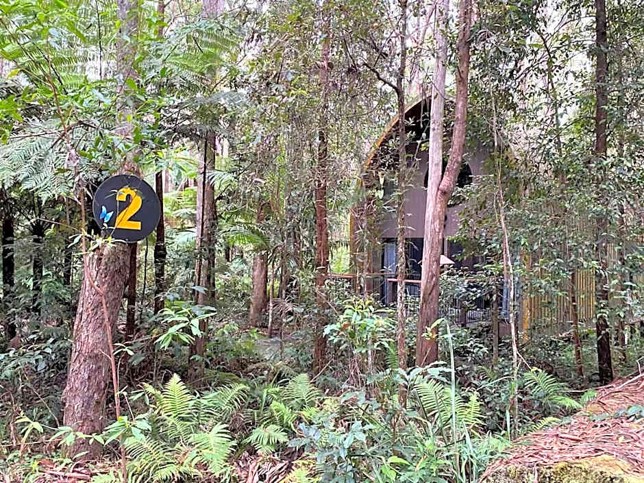 Springbrook Mountain Chalets