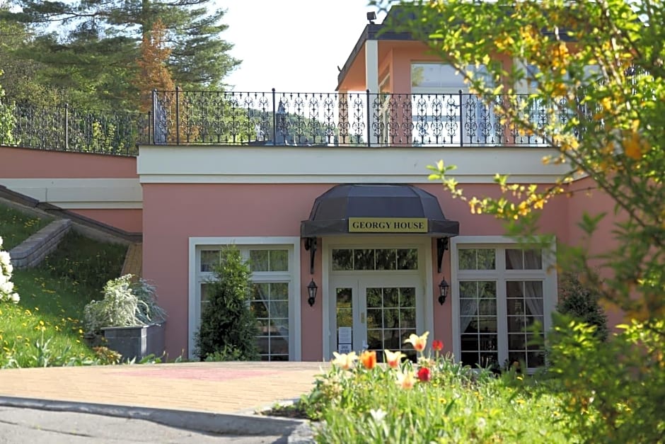 Hotel Georgy House