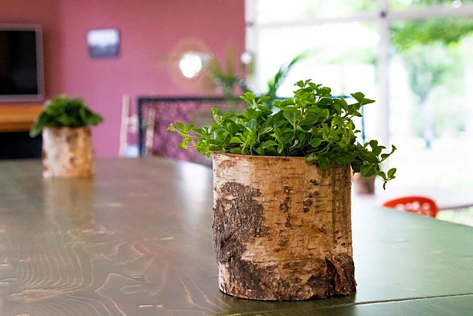 greet Hotel Castres Saix